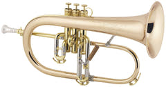 Flügelhörner