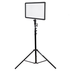 Videolichter