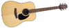 Western-Gitarren