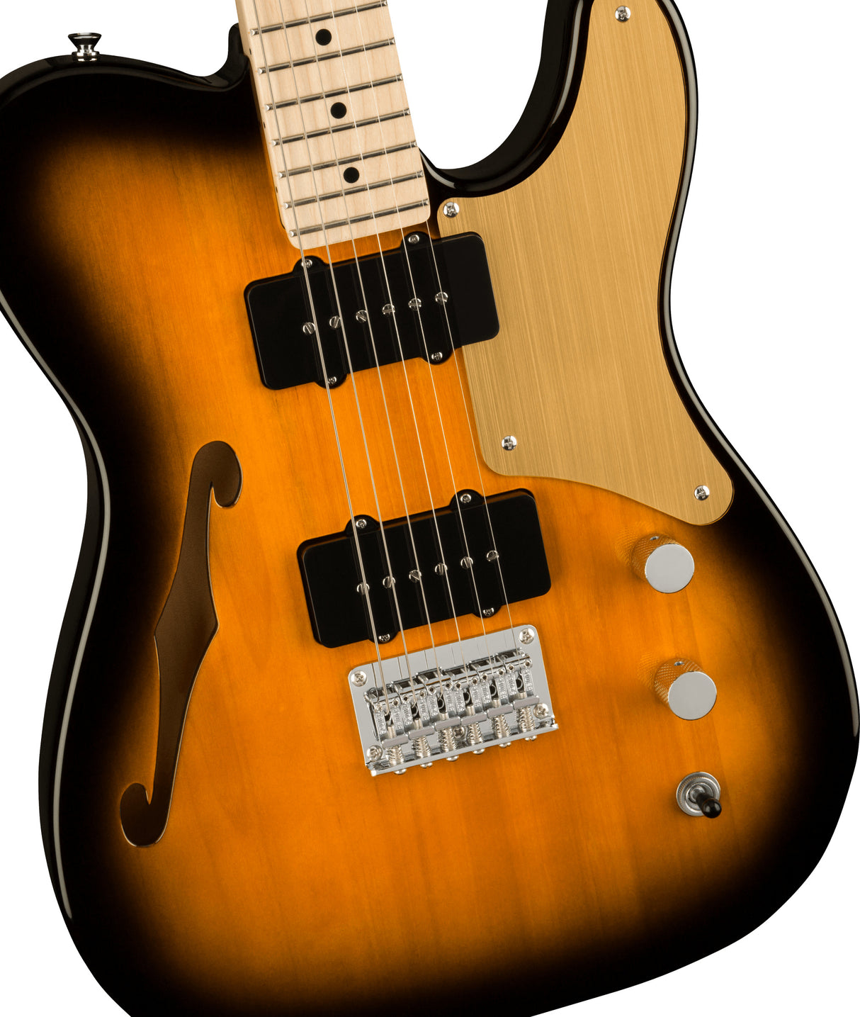 Fender Squier Paranormal Carbronita Telecaster Thinline E-Gitarre (Sunburst)