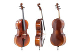 GEWA Allegro cello 4/4, eingerichtet mit Tasche