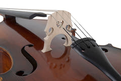 GEWA Kontrabass Basic Line Solid Version - 4/4 (Eingerichtet in den GEWA Meisterwerkstätten)