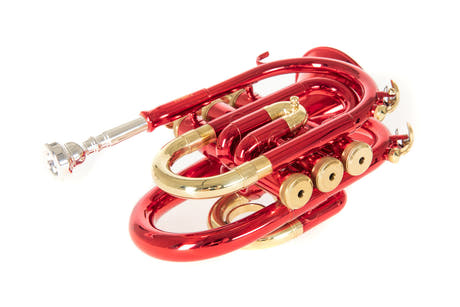 Roy Benson Bb-Pocket Trompete Roy Benson PT-101R - PT-101R