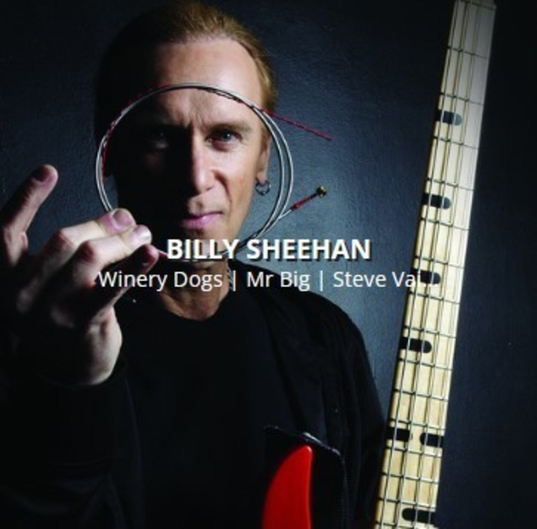 Rotosound E-Bass Saiten Swing Bass 66 - Satz 4-saitig Billy Sheehan Custom 43-110 (BS66)