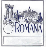 Romana Geigen Saiten - G Darm