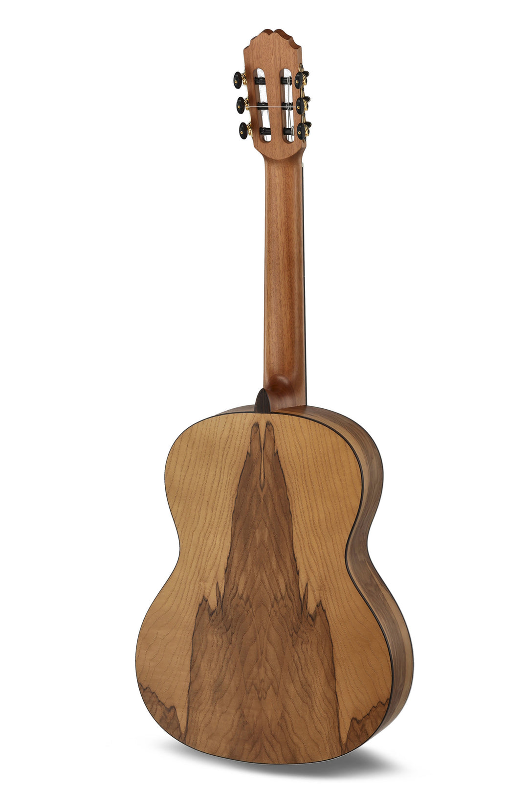 Caballero by MR Principio Serie P Olive CA-PMO 120 - Olive (CA-PMO 120)