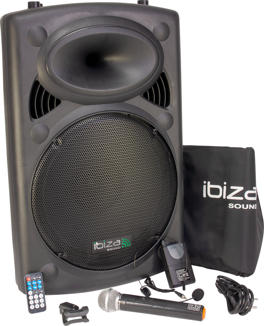 Ibiza portable 15" speaker with USB, Bluetooth & microphones
