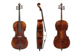 GEWA Sonata Europa Deluxe cello 4/4, nicht eingerichtet