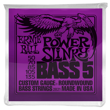 Ernie Ball Slinky Nickel Wound Basssaiten (5)