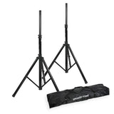 Karaoke Anlage mit 2 Mikrofonen (Schwarz)