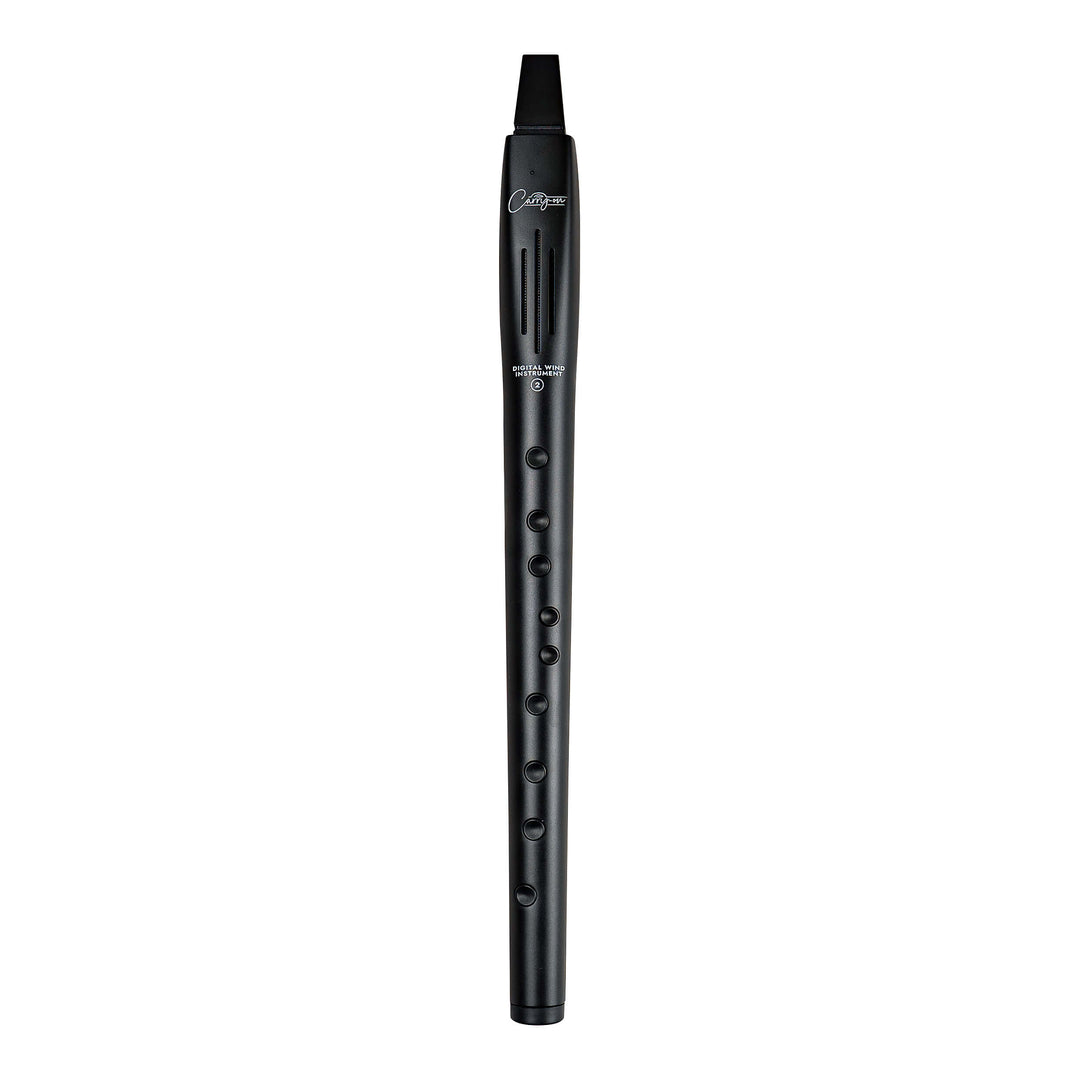 Carry-on by Blackstar Digitales Blasinstrument 2 Black