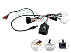 21CTSNS009.2 Interface für Nissan