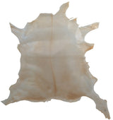 GEWA Kalbspergament, transparent, ganze Haut