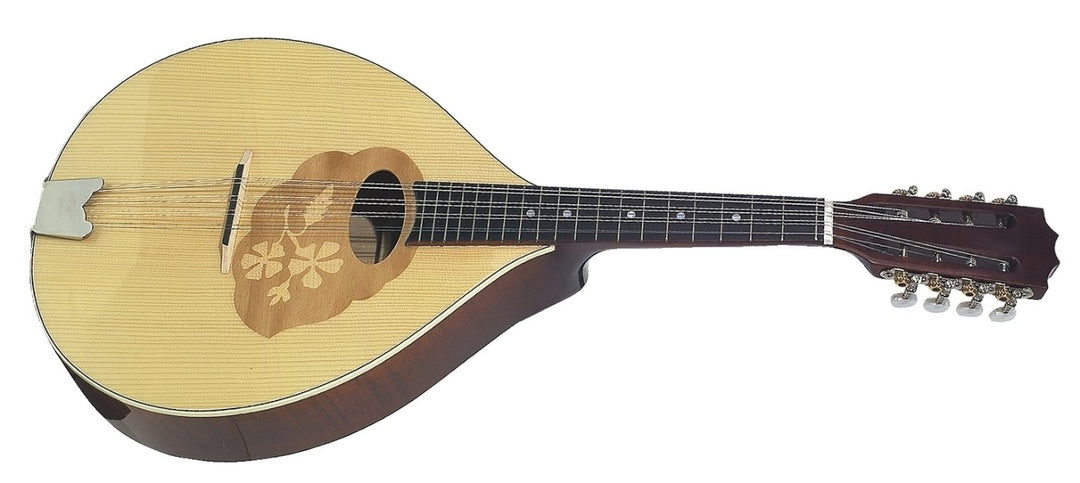 GEWA Mandola Pro Arte - High gloss