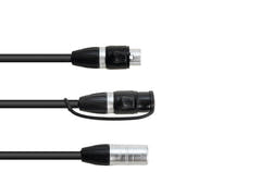 EUROLITE Adapterkabel DMX IP XLR 3-polig(m)/2xIP XLR 3-polig(f)