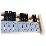 V-TONE DC 27 SET Glockenspiel Xylophon für Kinder mit Hülle