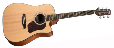 Walden D550CEW Westerngitarren (Natur)