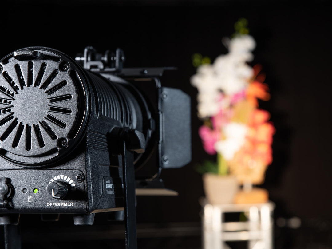 Eurolite AKKU THA-20PC TRC Theater-Spot