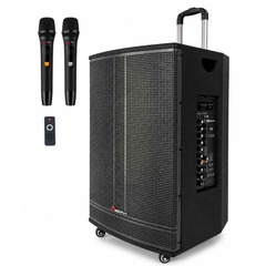 Audioport V15 tragbarer aktiver Lautsprecher mit 500 W und 2 mikrofonen
