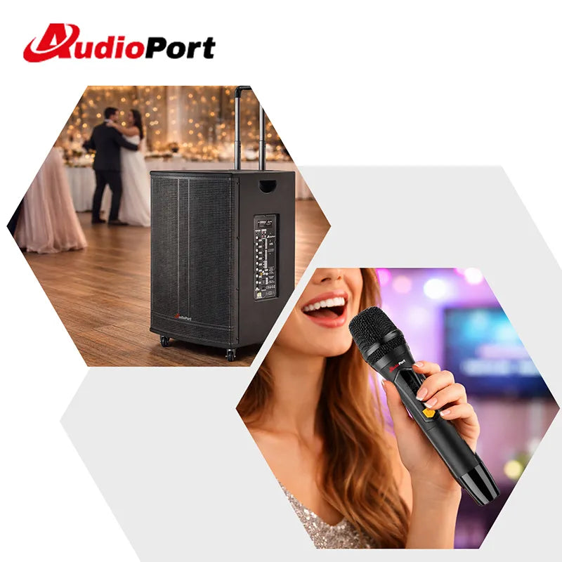 Audioport V15 tragbarer aktiver Lautsprecher mit 500 W und 2 mikrofonen