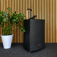 Audioport V15 tragbarer aktiver Lautsprecher mit 500 W und 2 mikrofonen