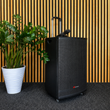 Audioport V15 tragbarer aktiver Lautsprecher mit 500 W und 2 mikrofonen