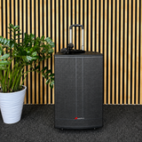 Audioport V15 tragbarer aktiver Lautsprecher mit 500 W und 2 mikrofonen