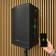 Audioport V15 tragbarer aktiver Lautsprecher mit 500 W und 2 mikrofonen