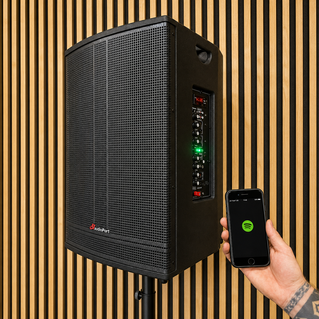 Audioport V15 tragbarer aktiver Lautsprecher mit 500 W und 2 mikrofonen