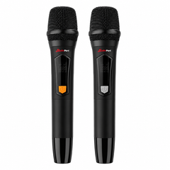 Audioport V15 tragbarer aktiver Lautsprecher mit 500 W und 2 mikrofonen