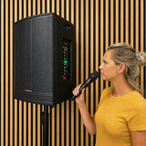 Audioport V15 tragbarer aktiver Lautsprecher mit 500 W und 2 mikrofonen
