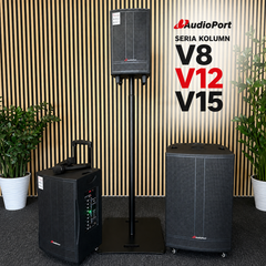 Audioport V15 tragbarer aktiver Lautsprecher mit 500 W und 2 mikrofonen