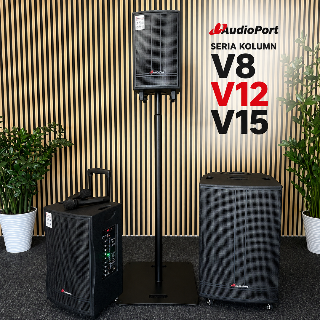 Audioport V15 tragbarer aktiver Lautsprecher mit 500 W und 2 mikrofonen