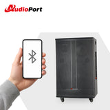 Audioport V15 tragbarer aktiver Lautsprecher mit 500 W und 2 mikrofonen