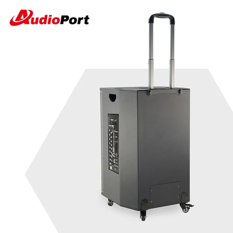 Audioport V15 tragbarer aktiver Lautsprecher mit 500 W und 2 mikrofonen