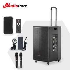 Audioport V15 tragbarer aktiver Lautsprecher mit 500 W und 2 mikrofonen