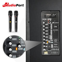 Audioport V15 tragbarer aktiver Lautsprecher mit 500 W und 2 mikrofonen