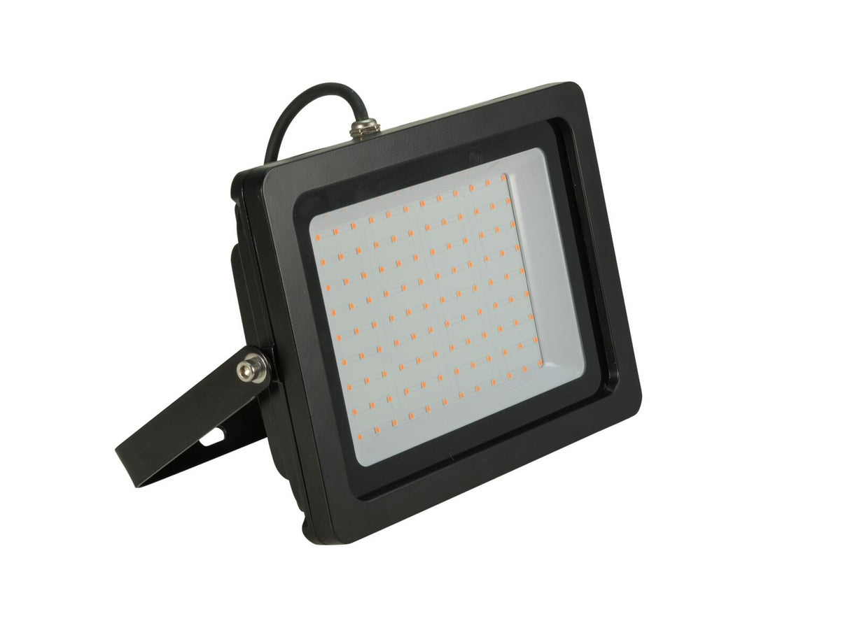 EUROLITE LED IP FL-100 SMD uv