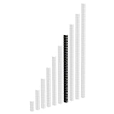 Adam Hall 61535 B HD Rackschiene schwarz 2 HE