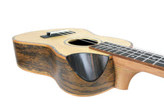 Reno RU380CE Grand Concert Ukulele