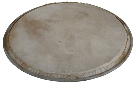 Latin Perkussion Perkussionsfell Plenera - 8" (WB505A)