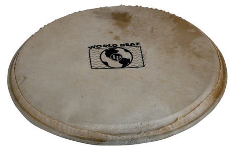 Latin Percussion Perkussion Fell Plenera - 10" (WB505B)