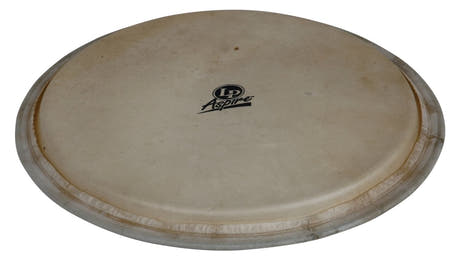 Latin Perkussion Djembe-Fell Aspire - 12,5" Ziegenhaut (LPA630A)