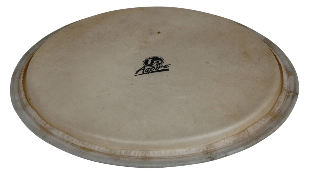 Latin Perkussion Djembe-Fell Aspire - 12,5" Ziegenhaut (LPA630A)