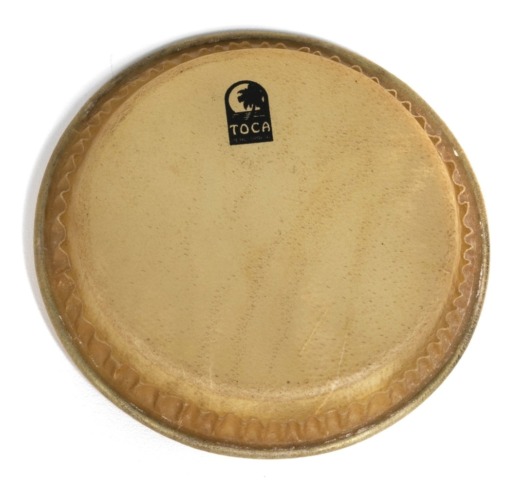 Toca Perkussion Fell Batá Drums - 8,5" Large Omele (TP-33009)