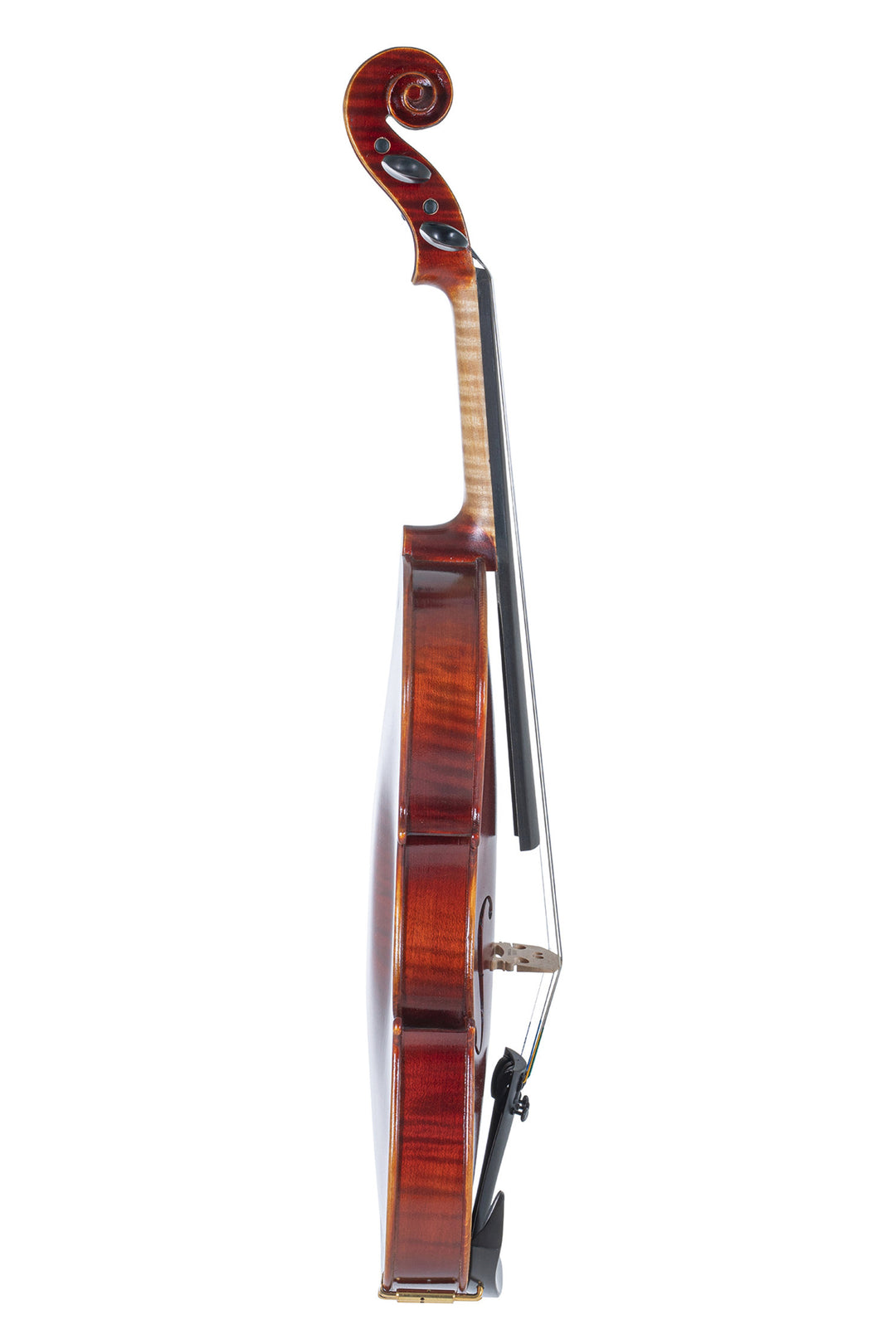 GEWA Geigen Ideale - 4/4 (Spielbereit inkl. shaped case, ohne Bogen, mit Larsen Aurora Saiten)