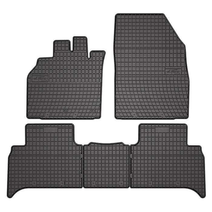 Gummimatten Renault Scenic II, III Grand Scenic 03-16