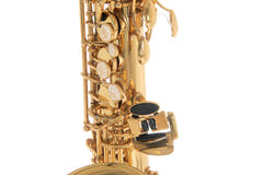 Roy Benson Eb-Altsaxophon Roy Benson AS-202 - AS-202