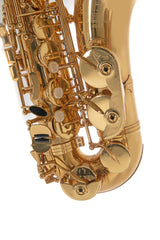 Roy Benson Eb-Altsaxophon Roy Benson AS-202 - AS-202