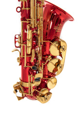 Roy Benson Eb-Altsaxophon Roy Benson AS-202R - AS-202R